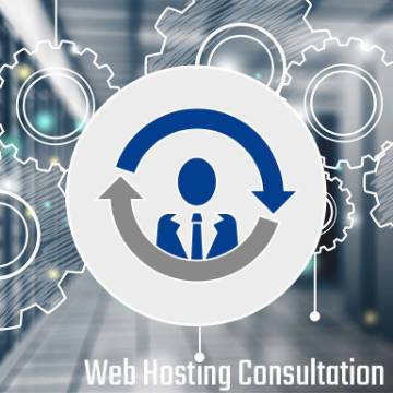 Web Hosting Consultation